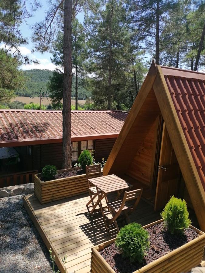 Camping La Ribera Salada Ogern Εξωτερικό φωτογραφία